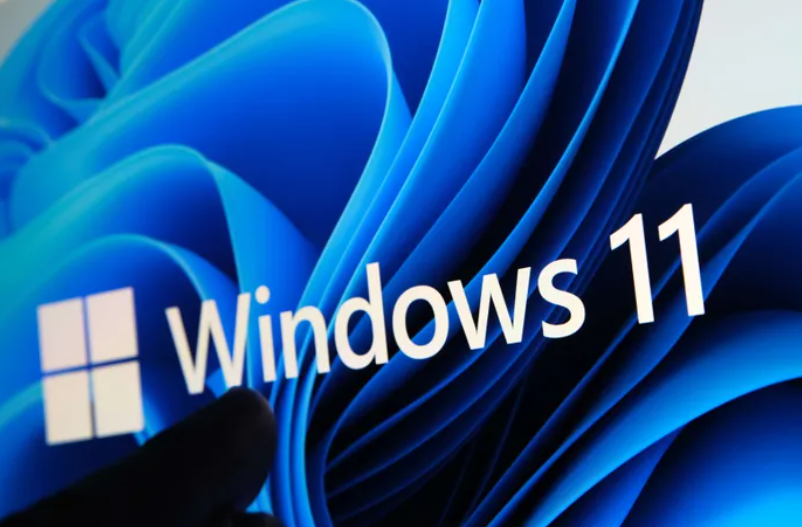 微软为 Windows 11 添加了通行证。